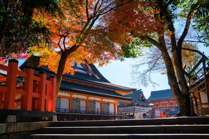 四季折々の変化を楽しむ八坂神社