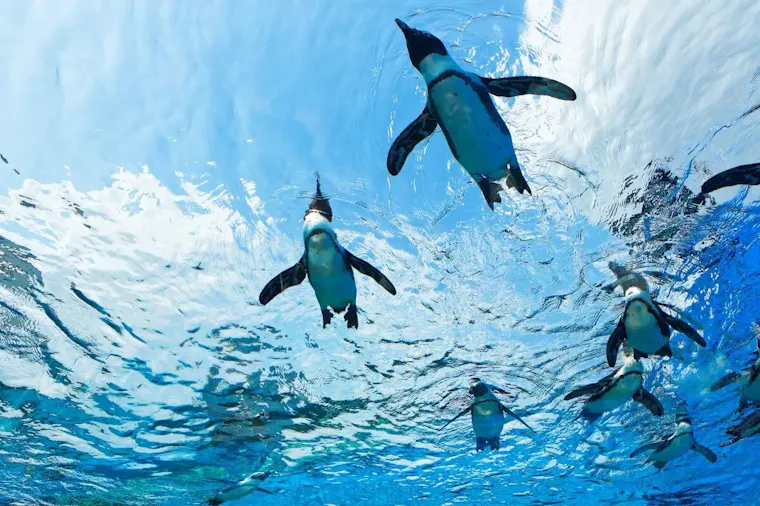サンシャイン水族館