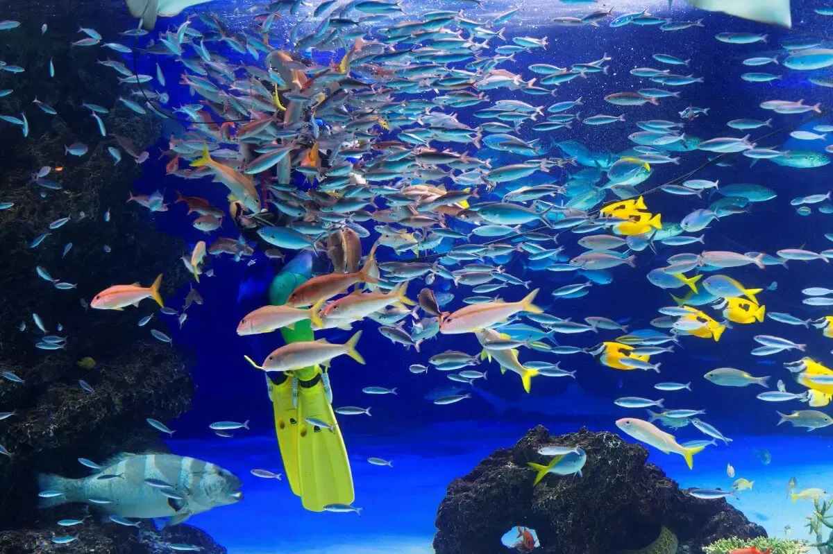 サンシャイン水族館(写真 2)