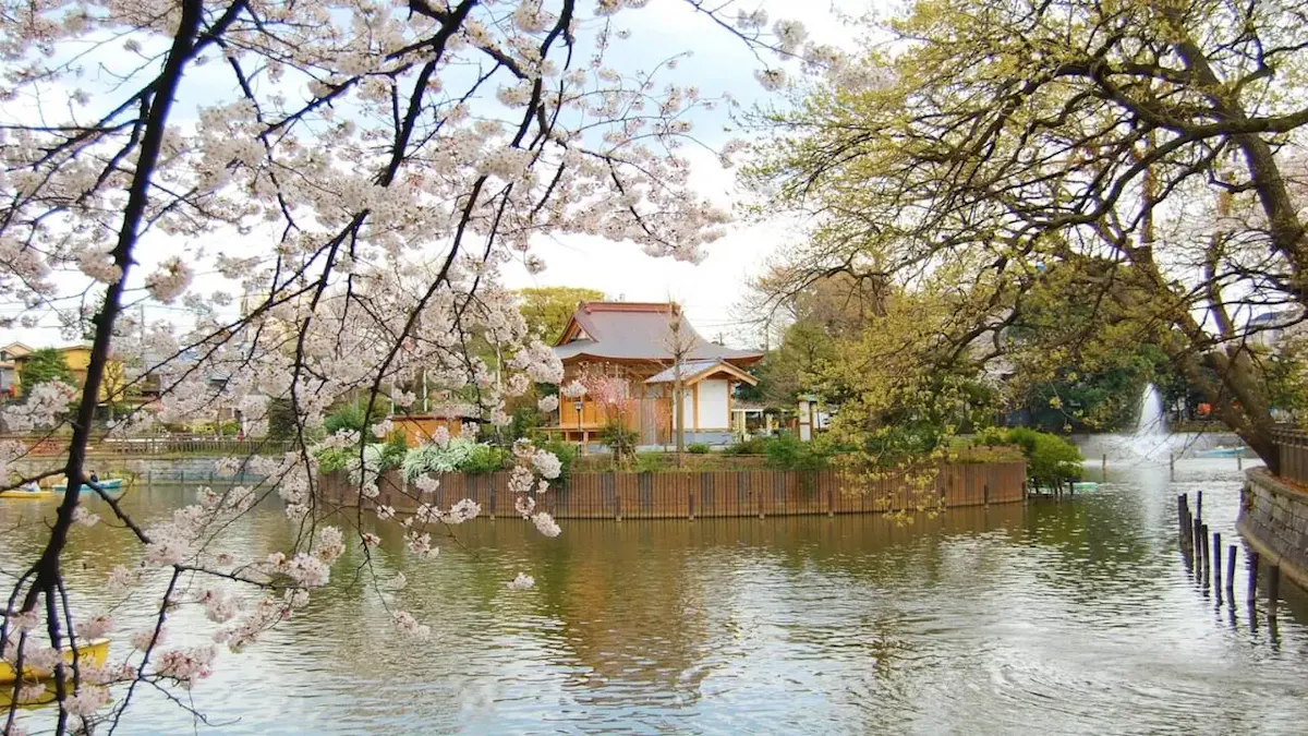 碑文谷公園(写真 4)