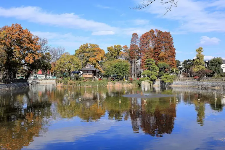 碑文谷公園