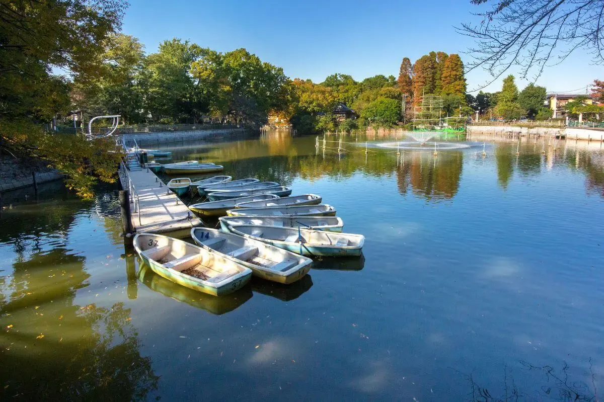 碑文谷公園(写真 2)