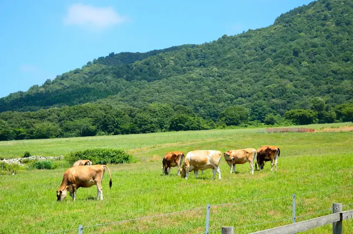 自然豊かな環境