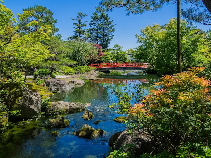 牡丹の高麗人参に名所として有名な庭園!