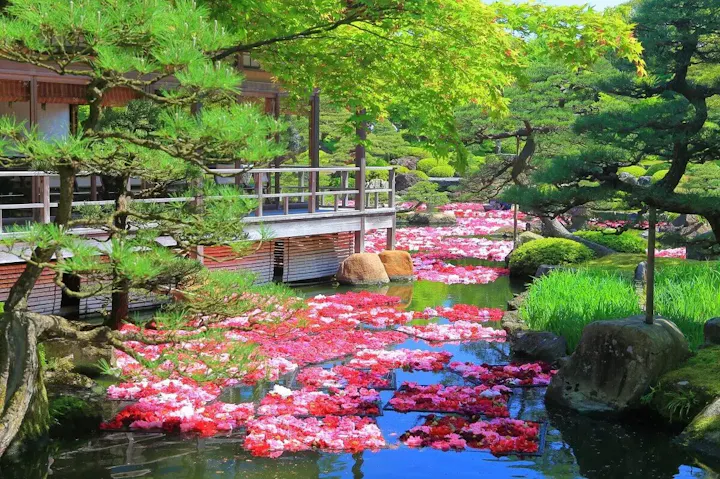 手入れが行き届いた美しい池泉回遊式庭園!