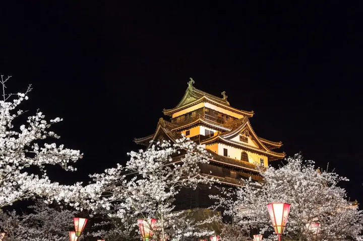 幻想的な雰囲気が漂う夜間ライトアップ！