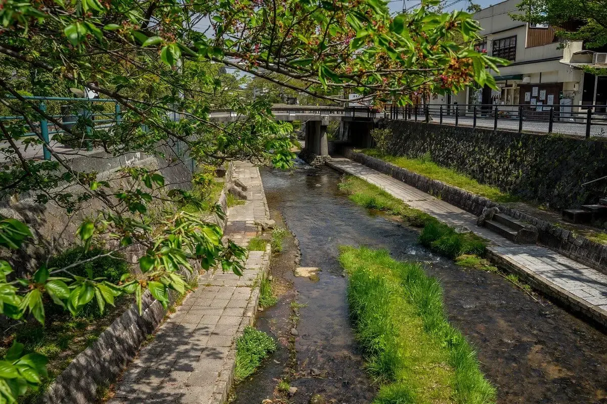玉造温泉(写真 2)