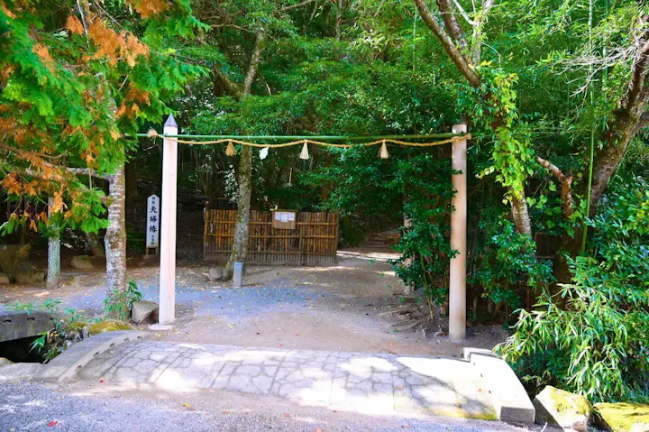 「神秘の森」と称される奥の院佐久佐女の森