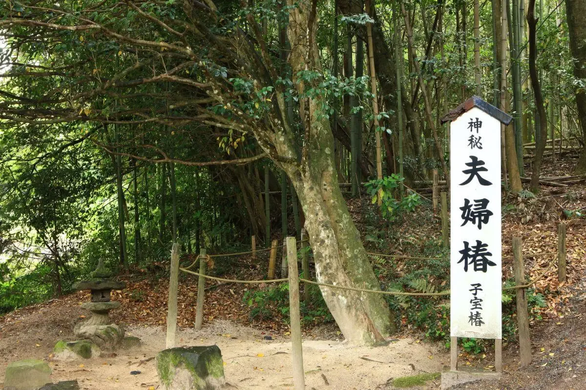 八重垣神社(写真 5)