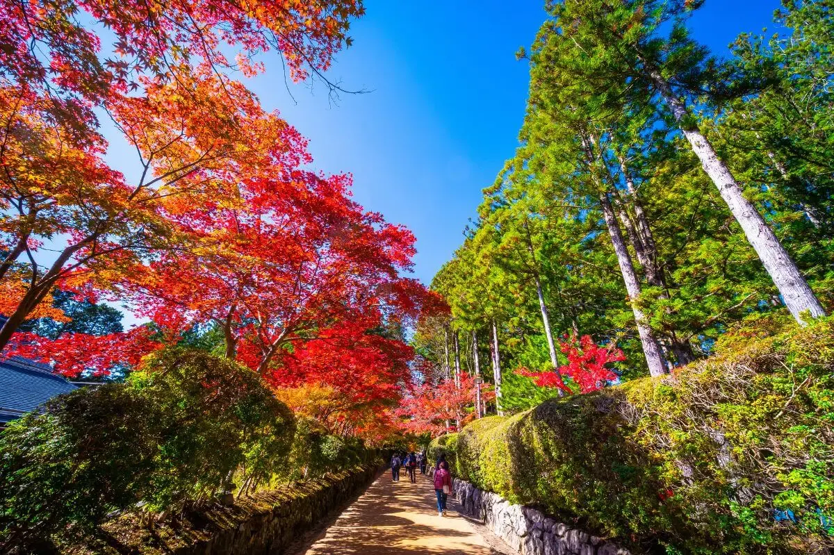 壇上伽藍(写真 5)