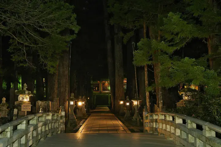 幻想的な雰囲気の奥之院ナイトツアー！