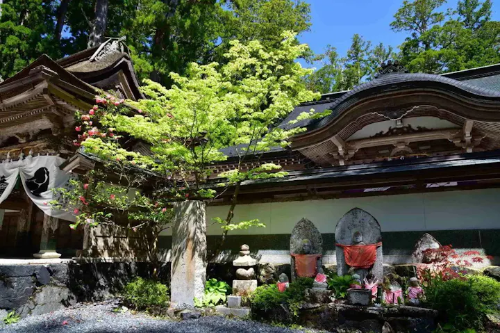 「日本の総菩提所」と称される特別な参拝地