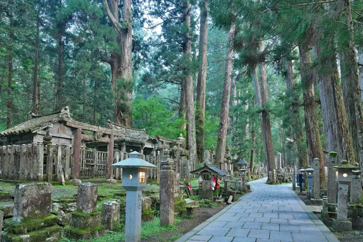 奥之院へと続く神秘的な雰囲気の参道！