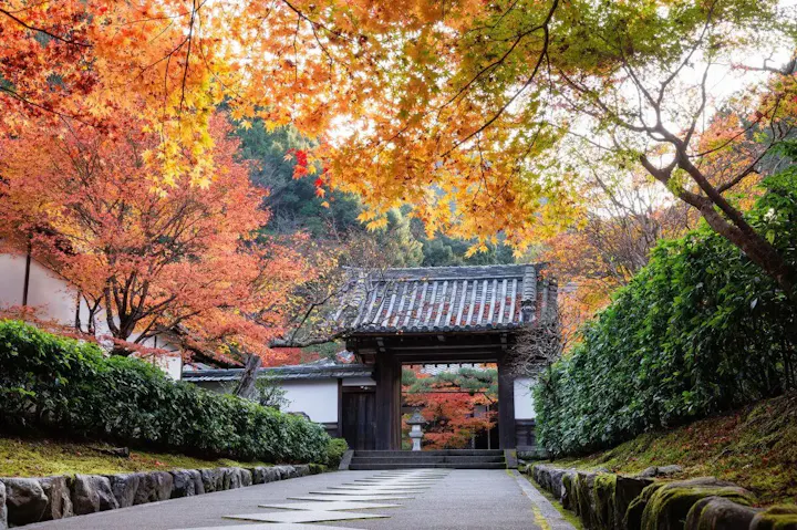 美しい四季折々の風景！