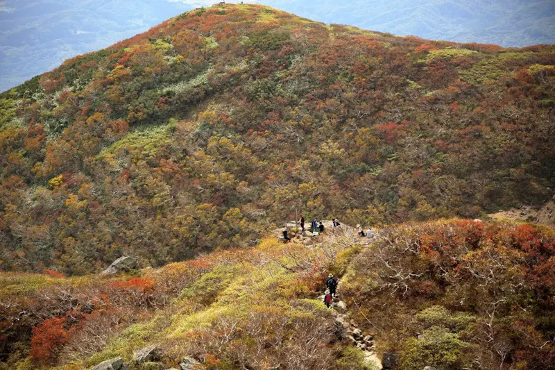 嶽温泉
