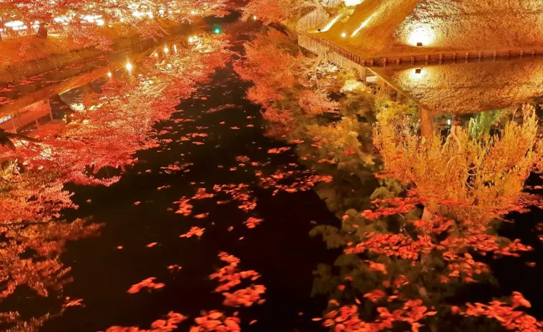 弘前公園