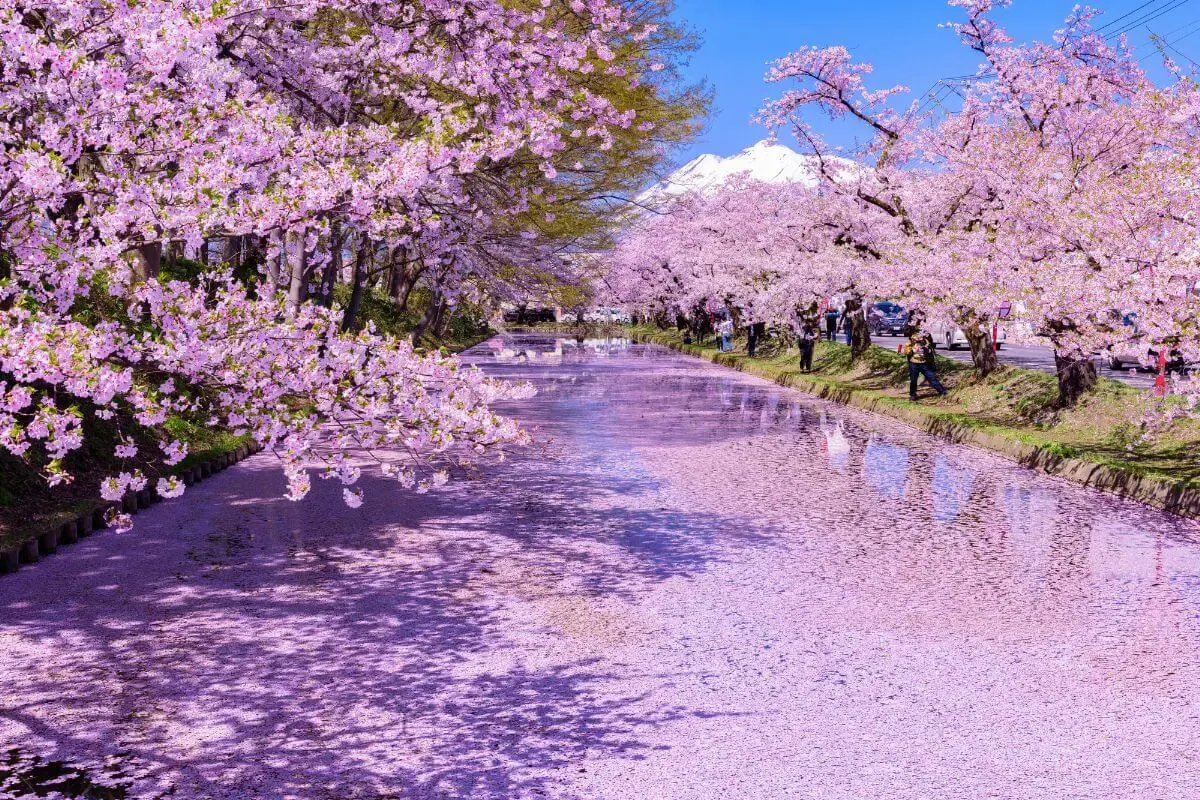 弘前城(写真 4)