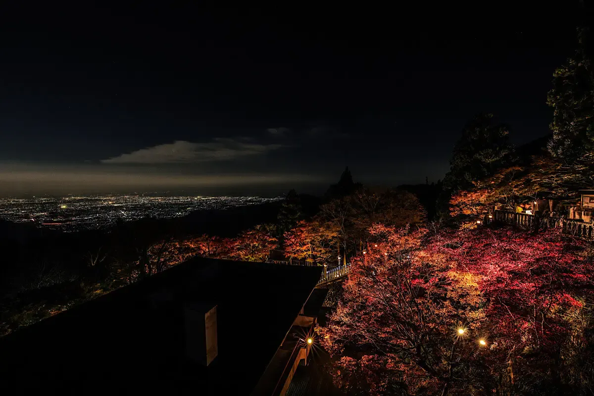 大山ケーブルカー（写真 6）