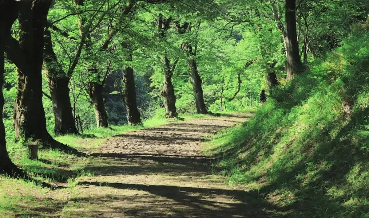 七沢森林公園（写真 2）
