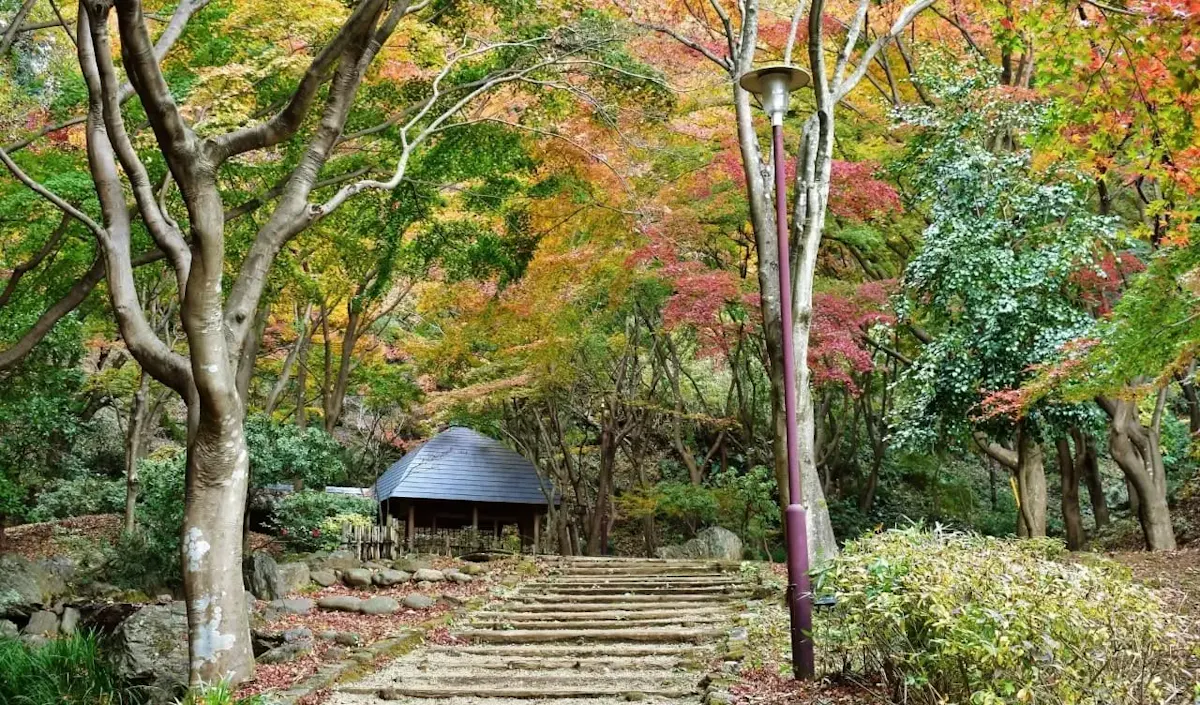 七沢森林公園（写真 3）