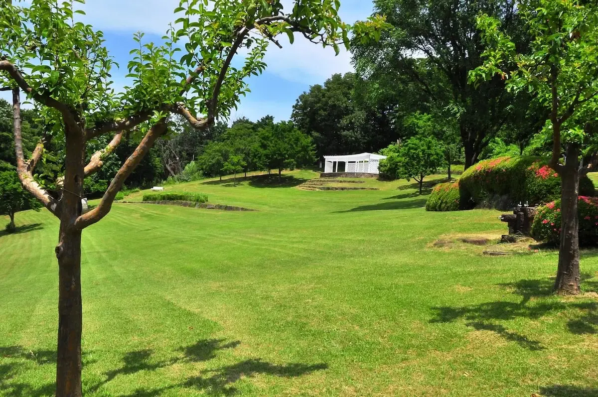 七沢森林公園（写真 4）