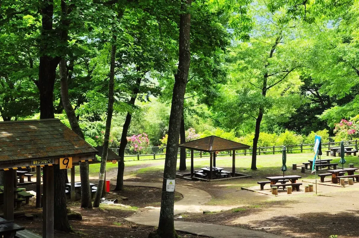 七沢森林公園（写真 5）