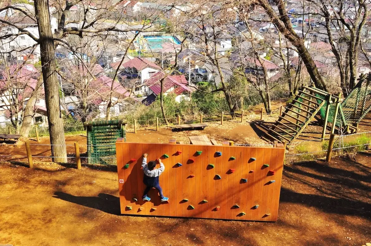七沢森林公園（写真 6）
