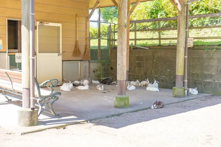 動物たちと触れ合える鹿屋市小動物園！