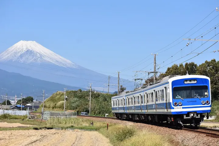 三津シーパラダイスからすぐの遊覧船