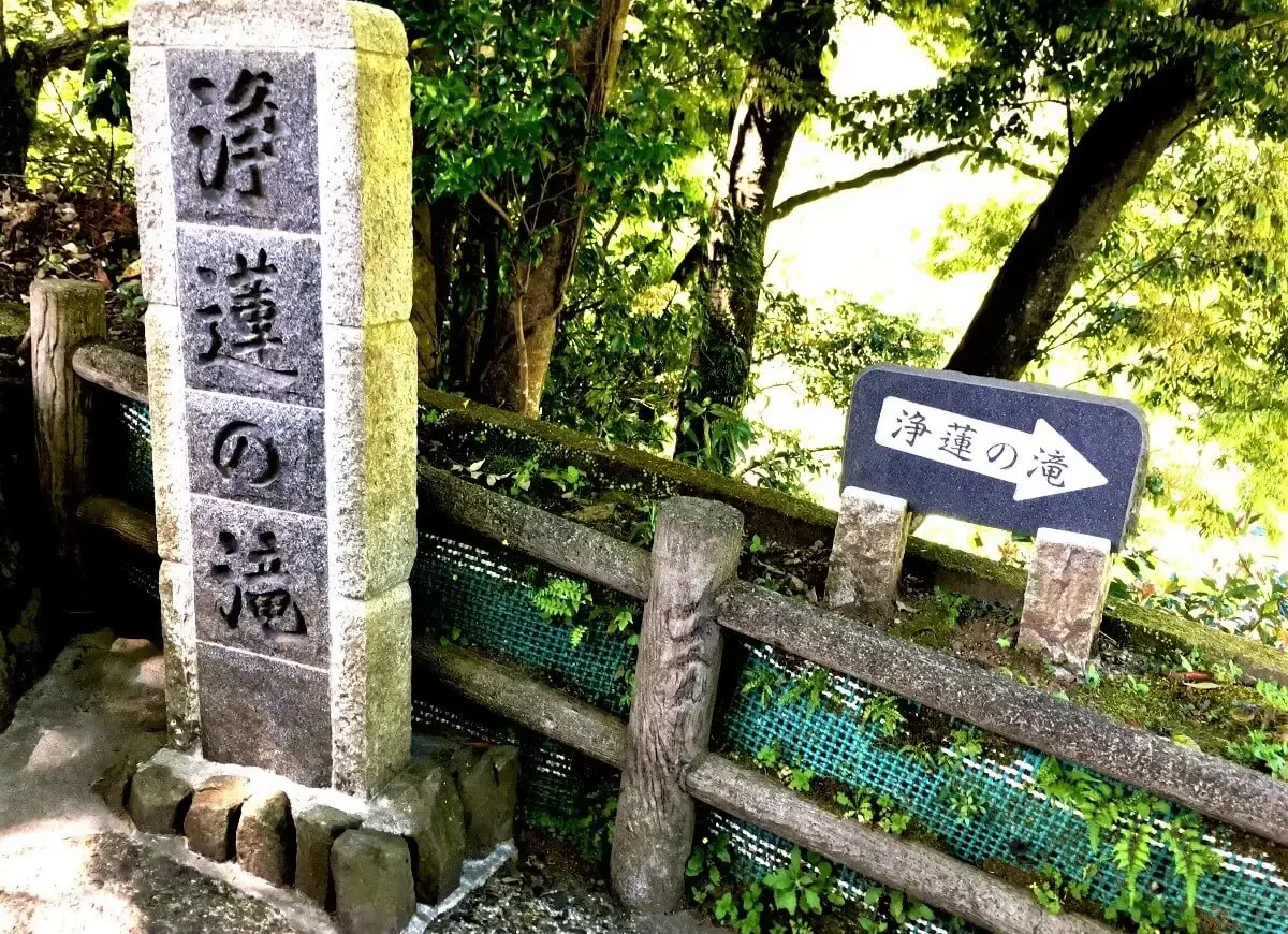 天城遊歩道(写真 4)