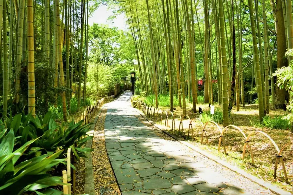 竹林の小径(写真 3)