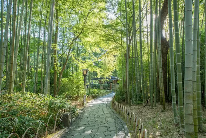 修善寺温泉駅からすぐの風情あるスポット