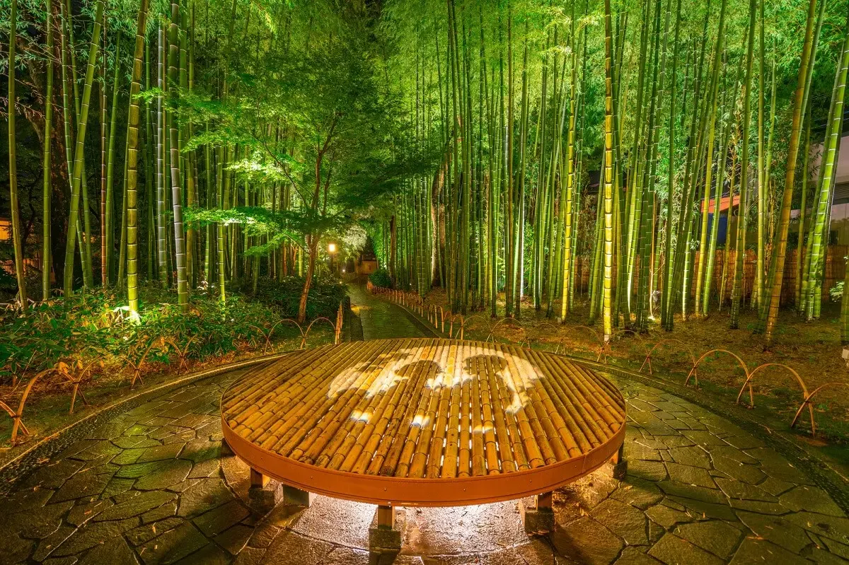 竹林の小径(写真 5)
