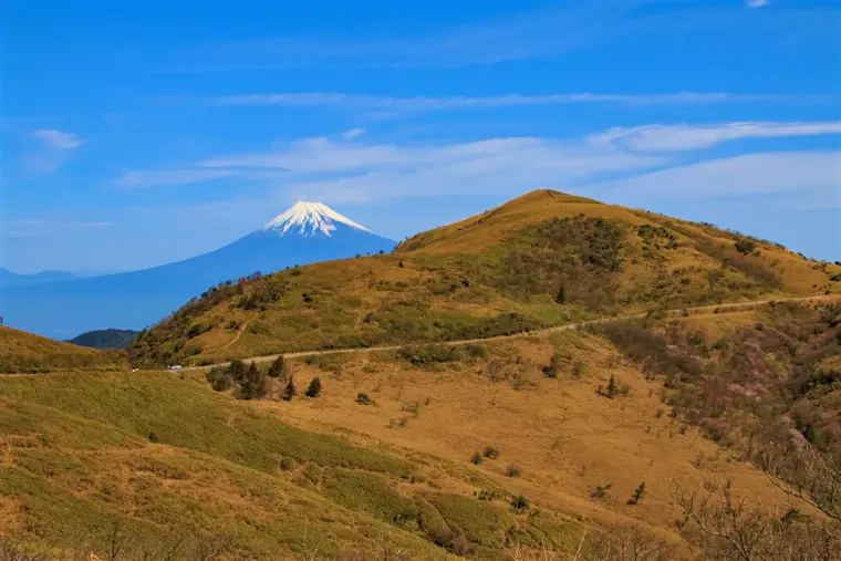 西天城高原