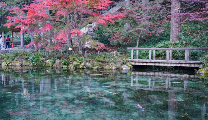 四季折々の光景を楽しもう