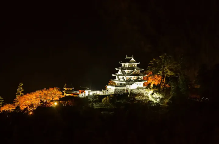 紅葉の時期のライトアップを見よう