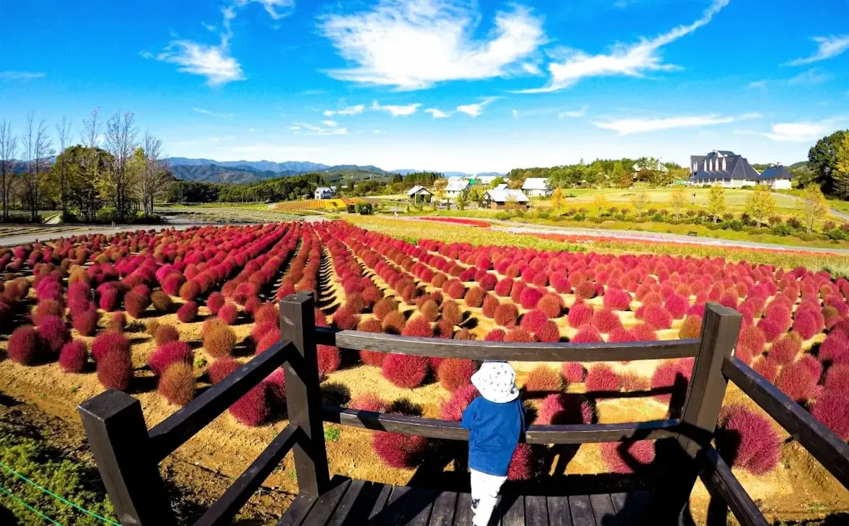 牧歌の里（写真 3）