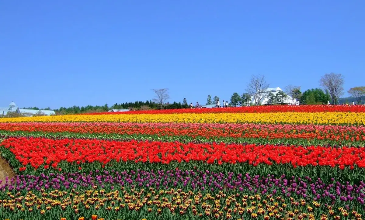 牧歌の里（写真 4）