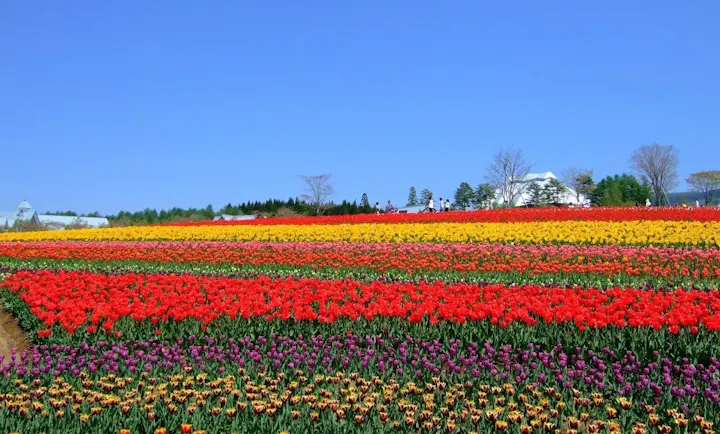広大な敷地に咲き誇る四季折々の花