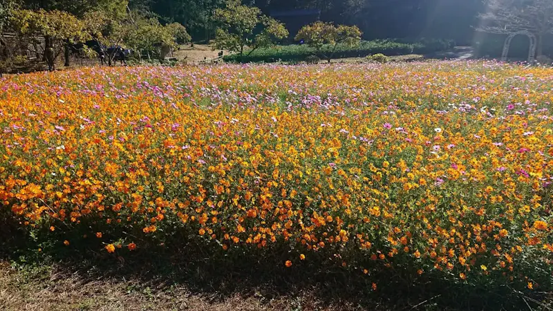 ぎふ清流里山公園