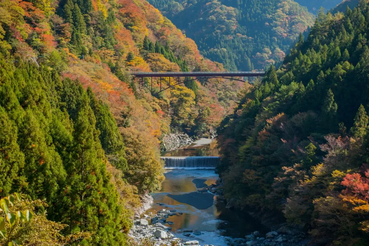 大歩危・祖谷温泉郷(写真 4)