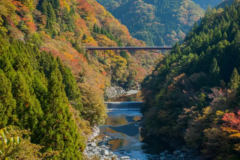 大歩危・祖谷温泉郷