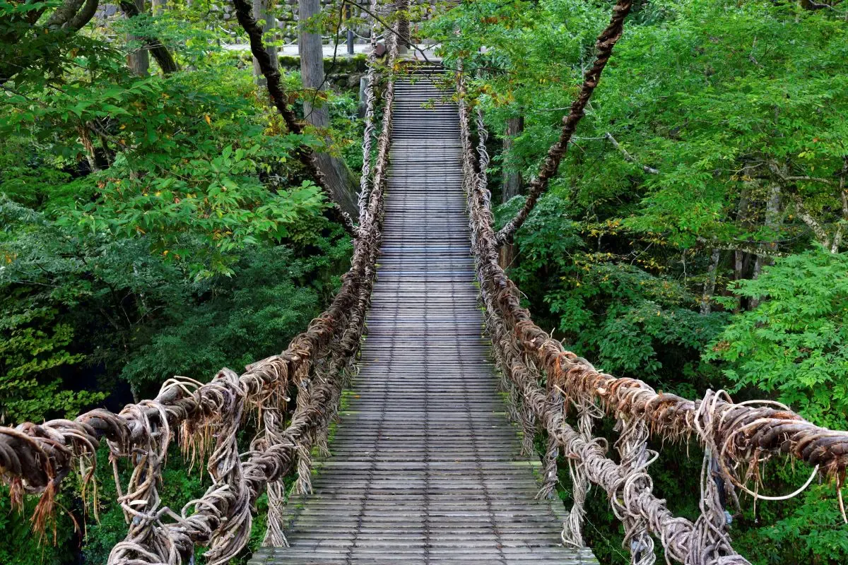 大歩危・祖谷温泉郷(写真 5)