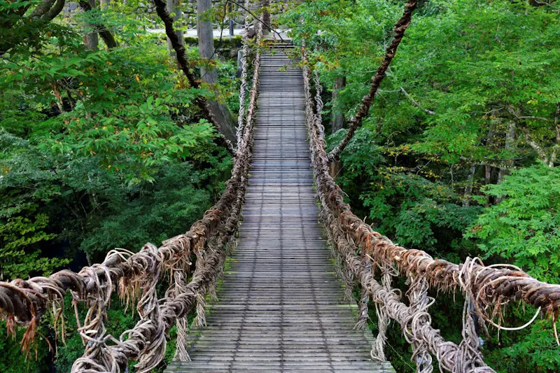 大歩危・祖谷温泉郷