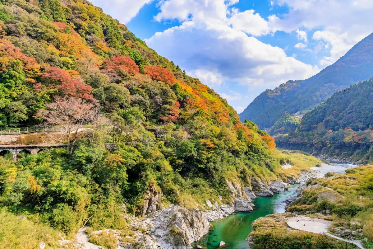 大歩危峡（写真 5）