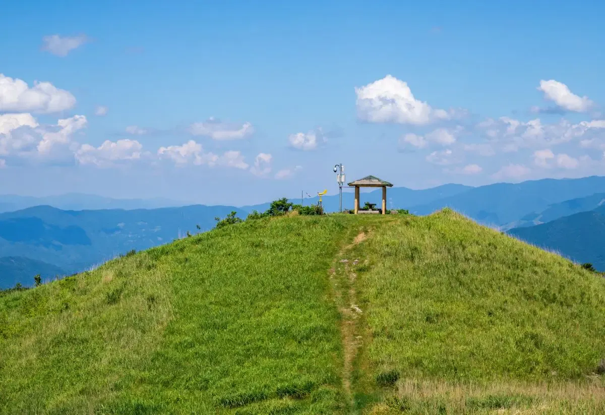 塩塚高原（写真 3）