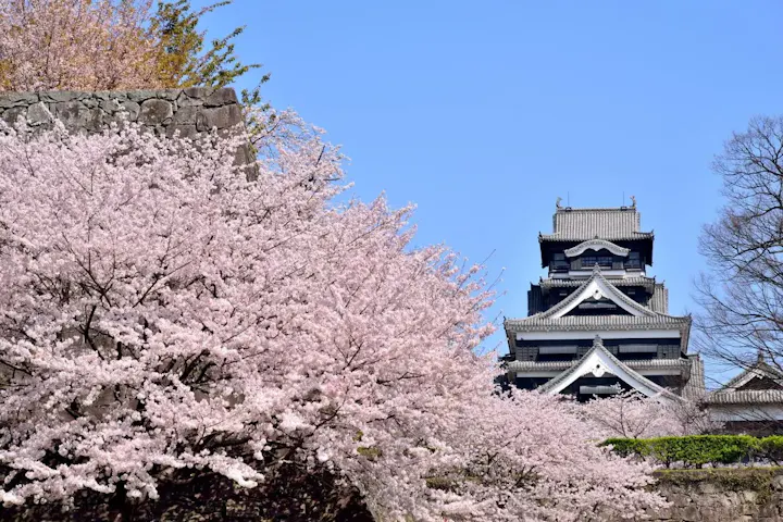 400年以上の歴史を持つ名城
