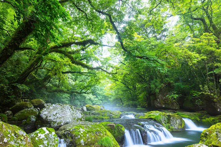 自然の絶景が広がる写真映えスポット