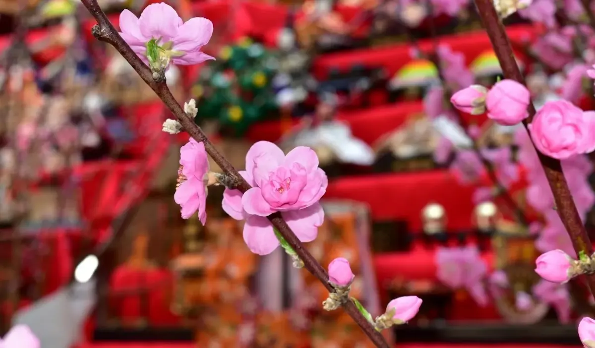 ぐんまフラワーパーク(写真 3)
