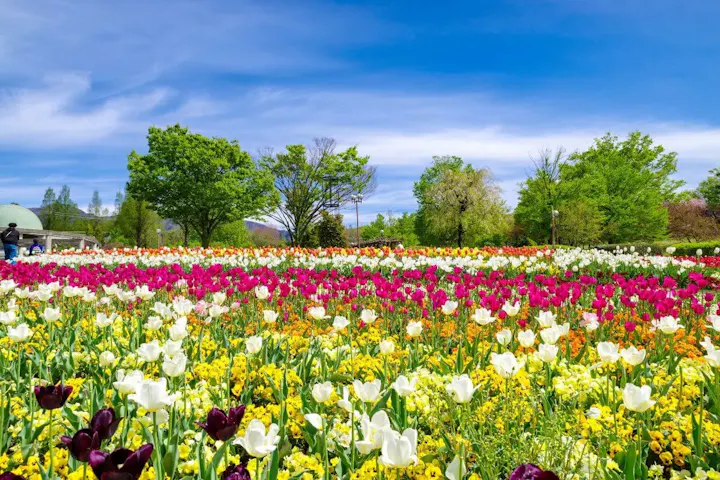 シーズンによって様々な花を楽しめる！